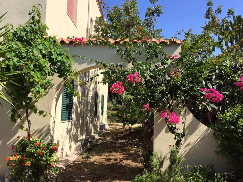 Surra Mediterranean Apartment